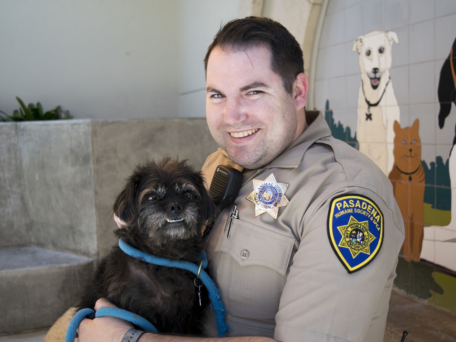 new york city animal control officer