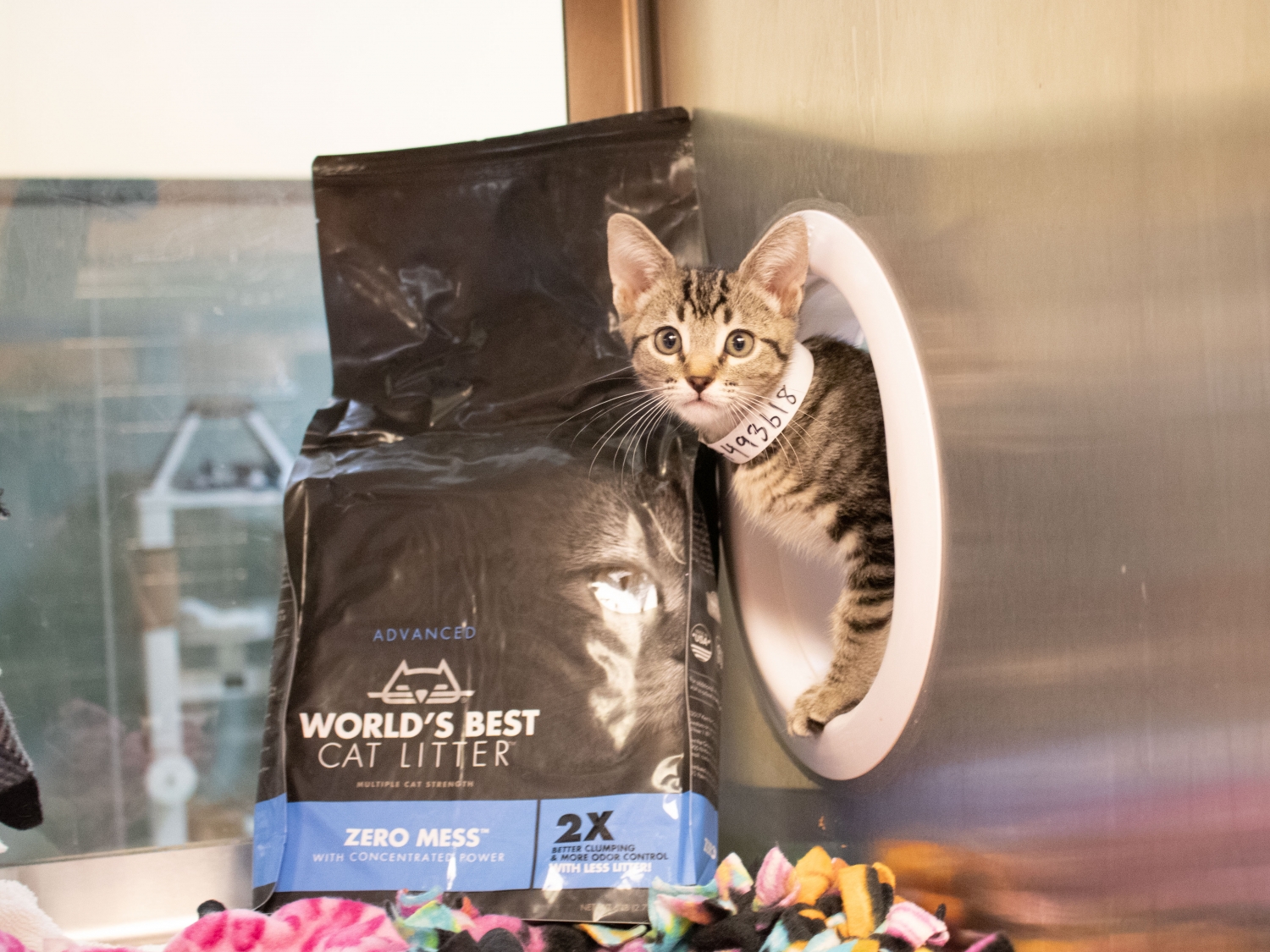 World's Best Cat Litter™ Donates 20 Tons of Cat Litter to Pasadena