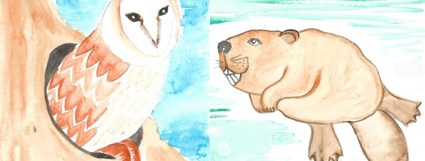 Kids Webinar: Wildlife in Watercolor (Beaver & Owl)