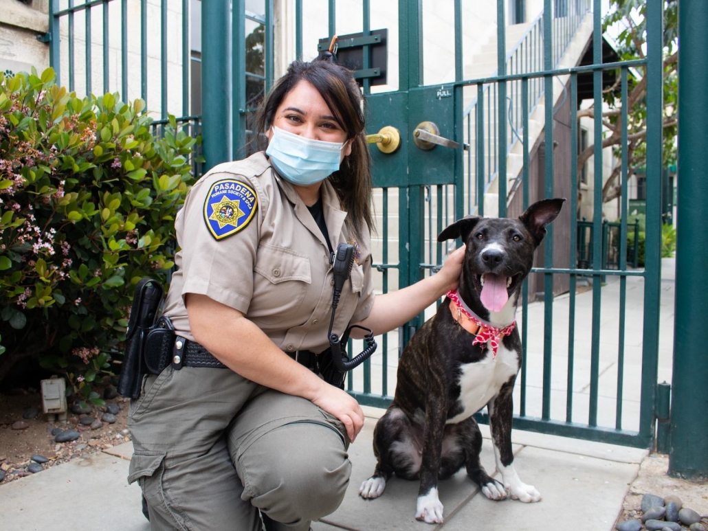 animal-control-pasadena-humane