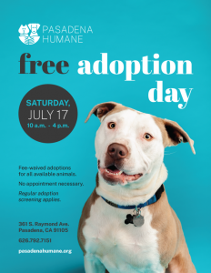 Free Adoption Day Flyer Dog