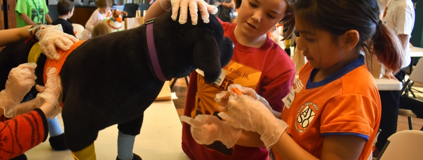 Pet CPR & Safety (ages 7-12)