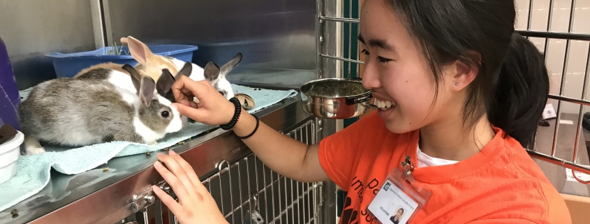 Academy at Pasadena Humane (ages 12-14)