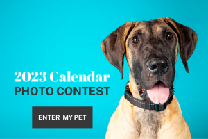 Pasadena Humane | Compassionate Care for Animals Since 1903