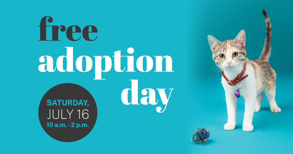 National adoption store day for pets