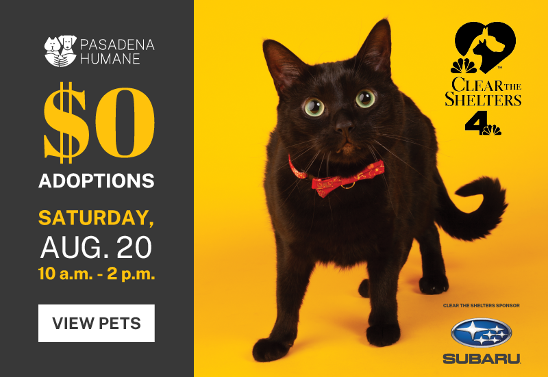 Adopt a Pet at Our Clear The Shelters Adoption Event - Pasadena Humane