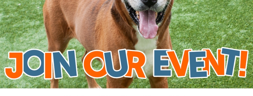 Subaru Loves Pets Pop-Up Adoption Event