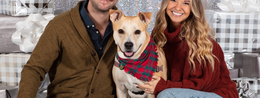 Holiday Pet Photos