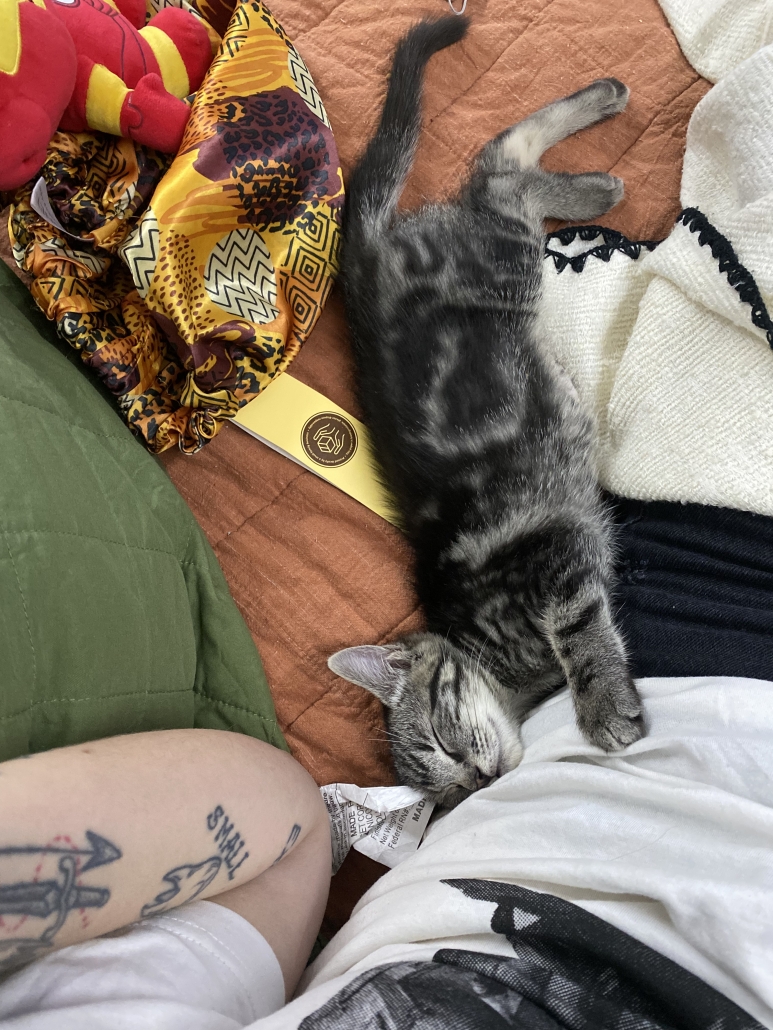 meet-percy-pasadena-humane