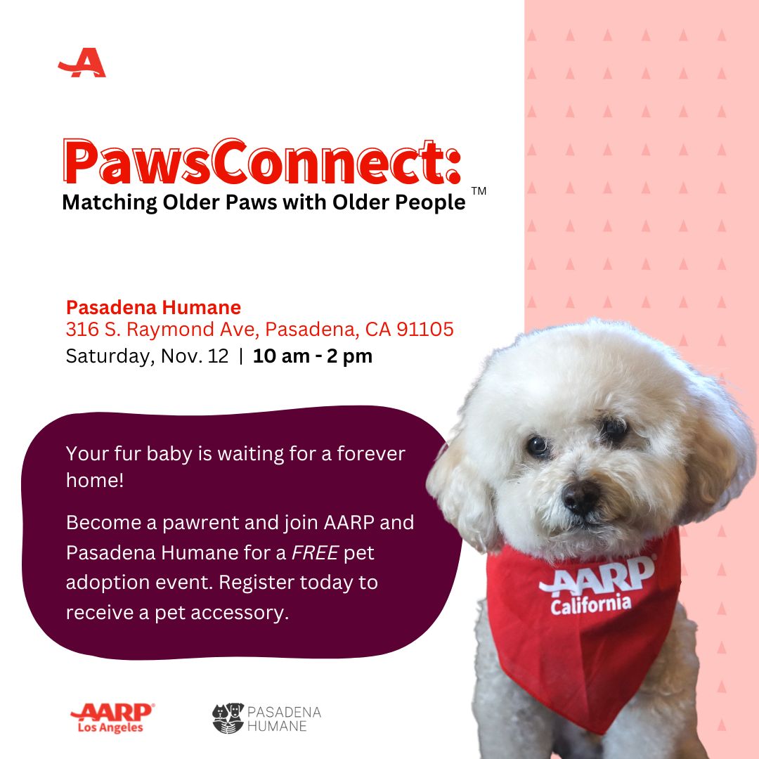 PawsConnect: Matching Older Paws with Older People™