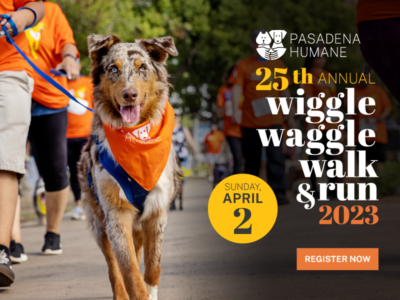 Pasadena Humane | Compassionate Care for Animals Since 1903