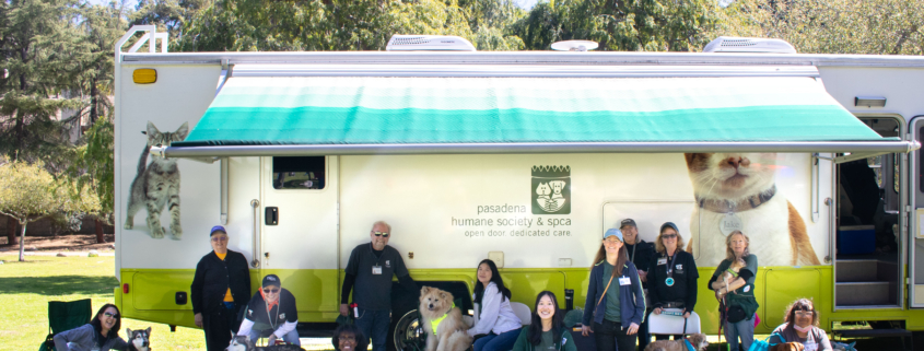 Pop-Up Dog Adoption Event at Pasadena Farmer’s Market (Victory Park)