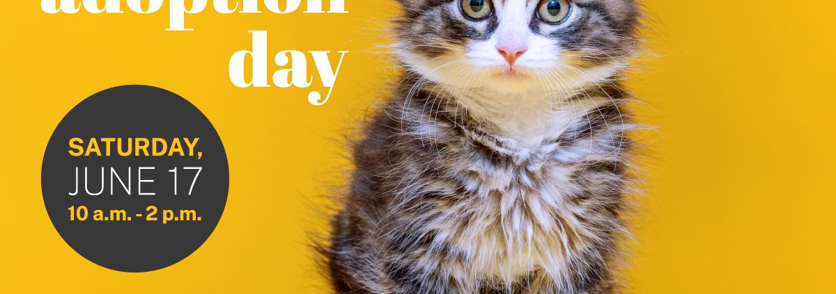 Adopt a New Pet During “Free Adoption Day”