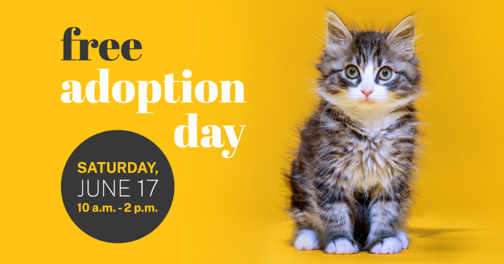 Free adoption best sale day humane society