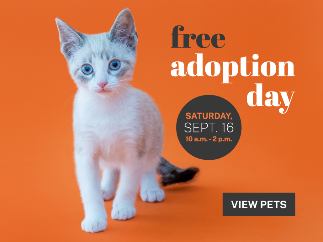 Free pet adoption hot sale day