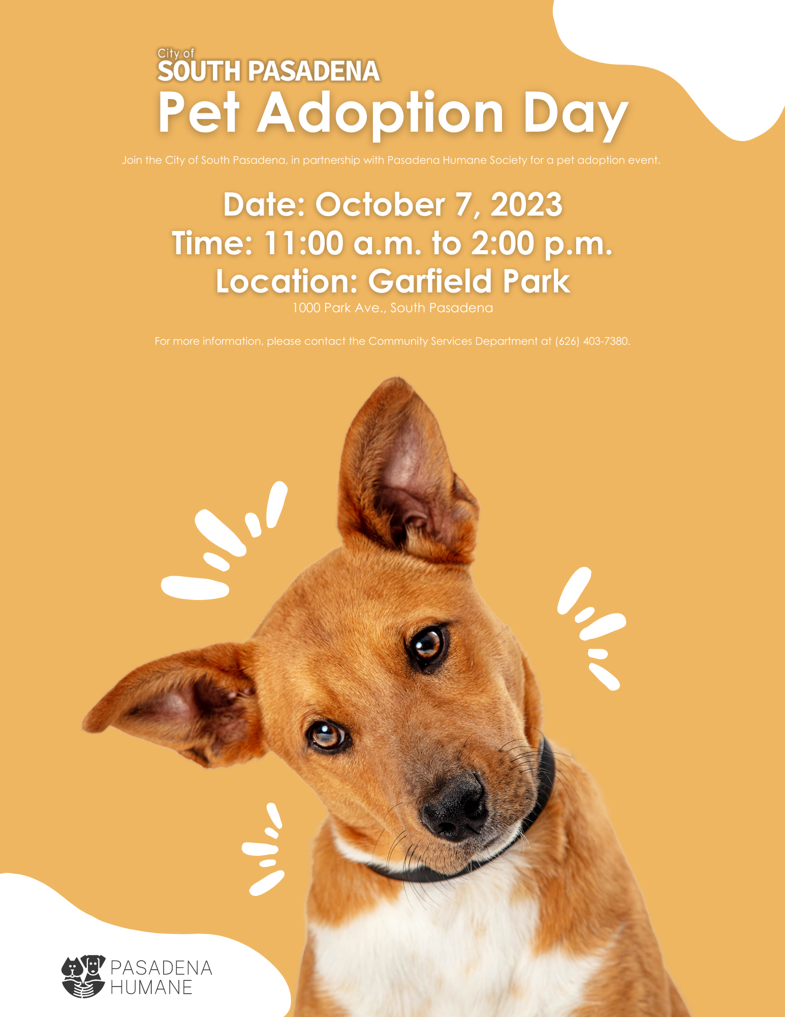 Pop-Up Adoption Event at Garfield Park