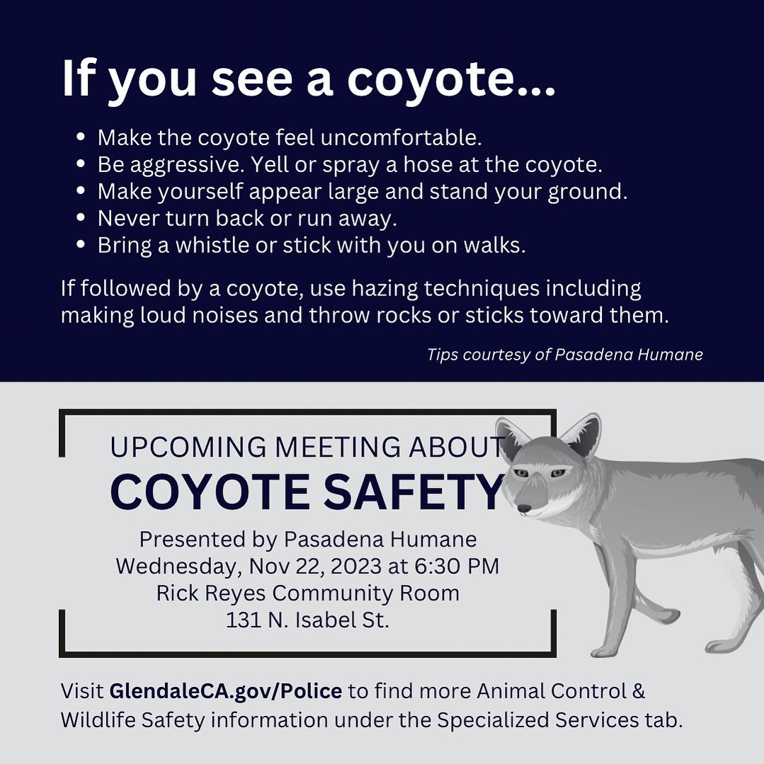 Coyote Safety Presentation at Glendale Police Department