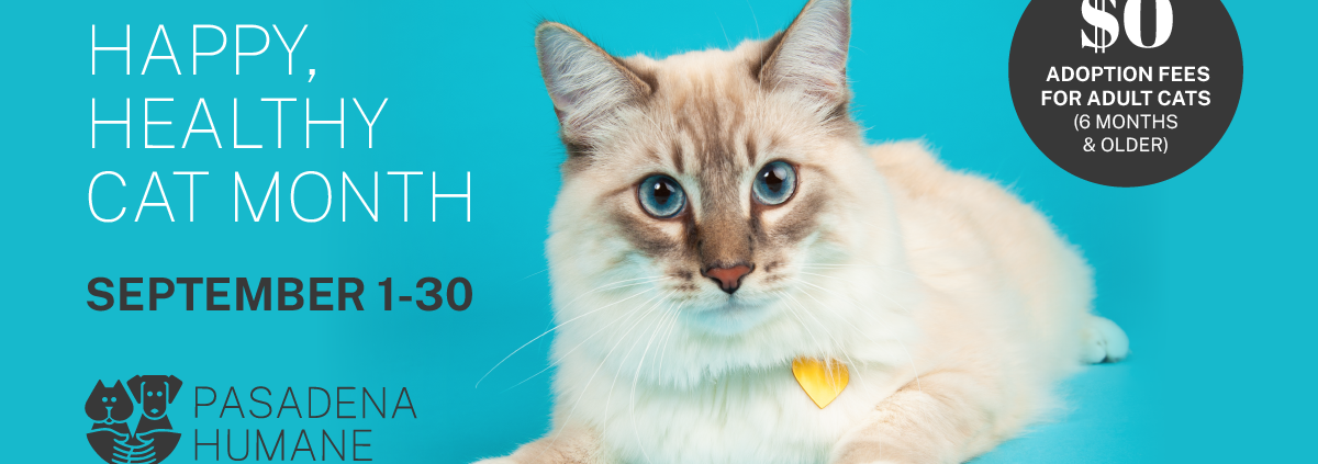 CELEBRATE HAPPY, HEALTHY CAT MONTH WITH PASADENA HUMANE