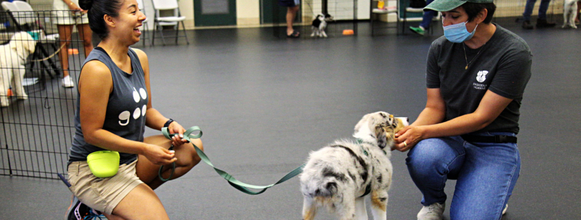 Animal Training Open House