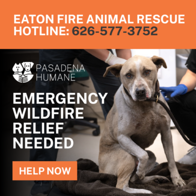 Pasadena Humane | Compassionate Care for Animals Since 1903
