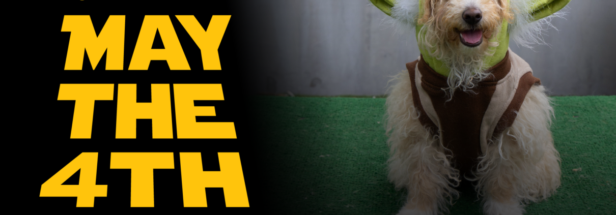 May the 4th Be With You at Pasadena Humane