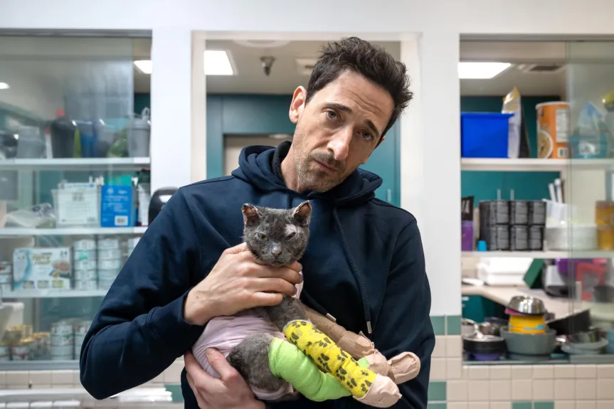 Eaton fire-injured cat Skinny Minnie, after 4 months of care, is finally going home Eaton fire-injured cat Skinny Minnie, after 4 months of care, is finally going home