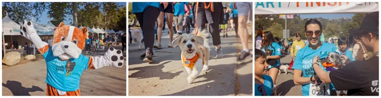 Column: Training your dog benefits your pet friend, you and the public, too Column: Training your dog benefits your pet friend, you and the public, too