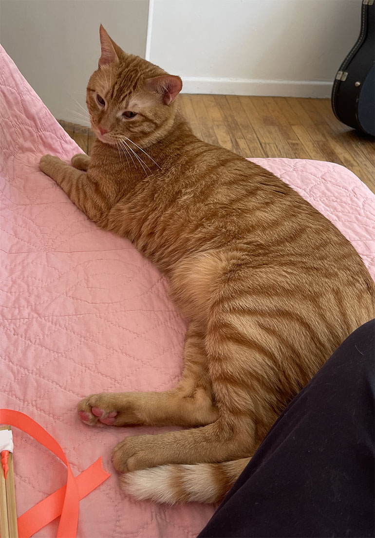 Meet Theodore