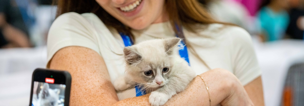 Pasadena Humane Returns to CatCon 2025 as Official Adoption Partner and Charity Beneficiary