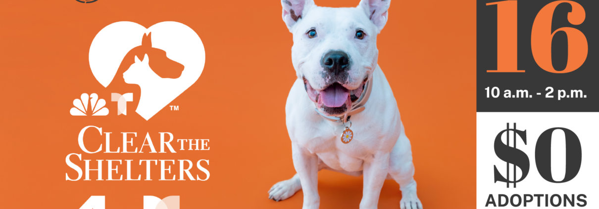 Pasadena Humane Joins NBCUniversal’s Clear The Shelters Pet Adoption Campaign