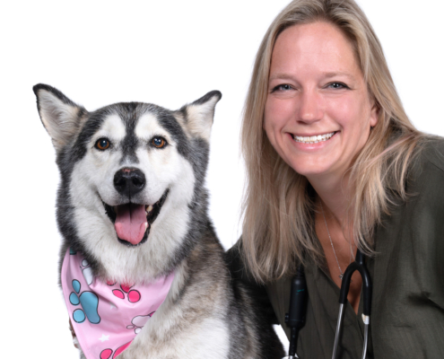 Dr. Maria Pyrdek