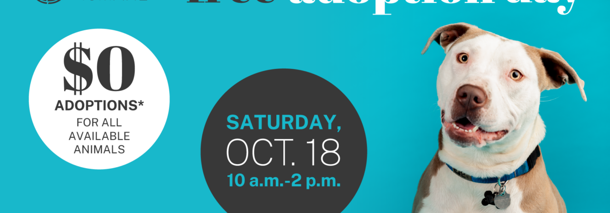 Pasadena Humane To Host Free Adoption Day On October 18
