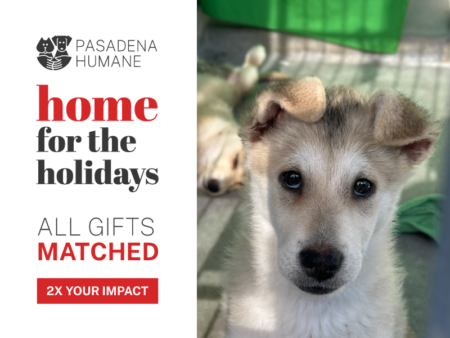 Who We Are - Pasadena Humane