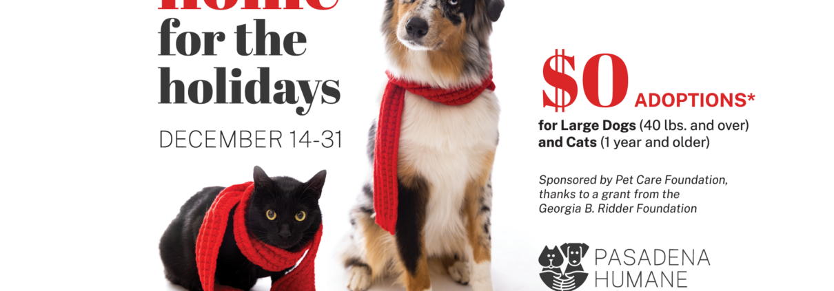 Pasadena Humane Waives Adoption Fees for Large Dogs and Adult Cats, December 14-31 Pasadena Humane Waives Adoption Fees for Large Dogs and Adult Cats, December 14-31