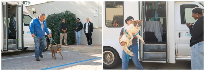 Column: Network of animal shelter partners crucial during disasters