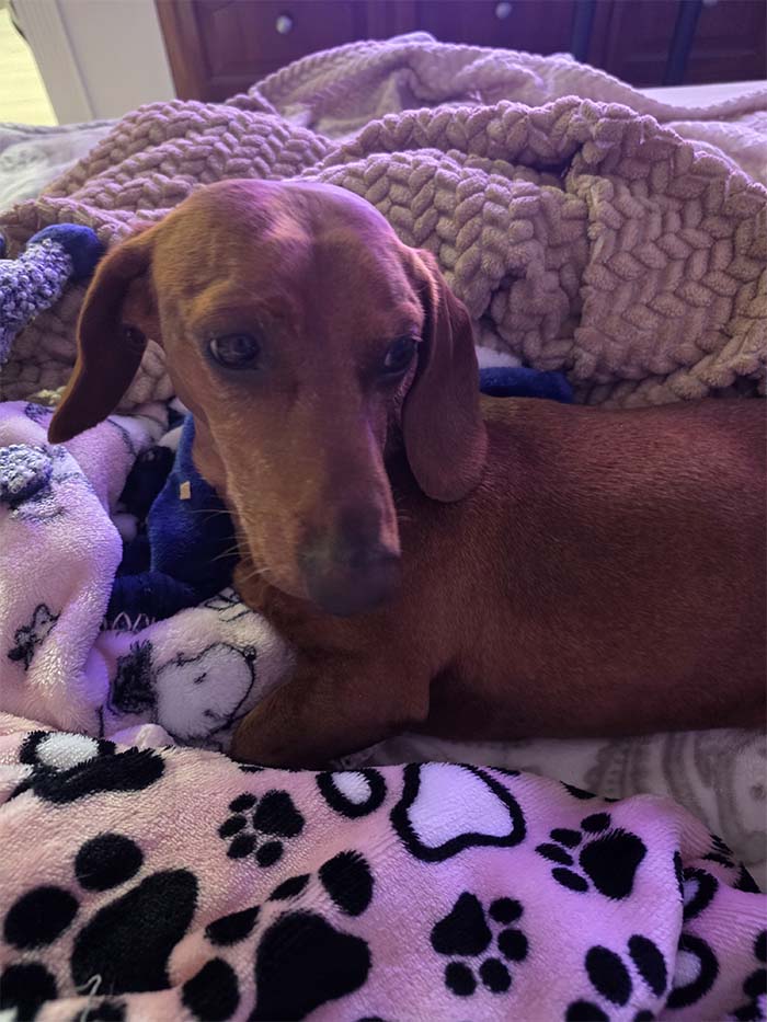 Meet Jack Henry Hilands