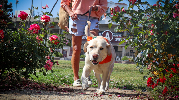 Untitled-design-2022-05-12T120248.879