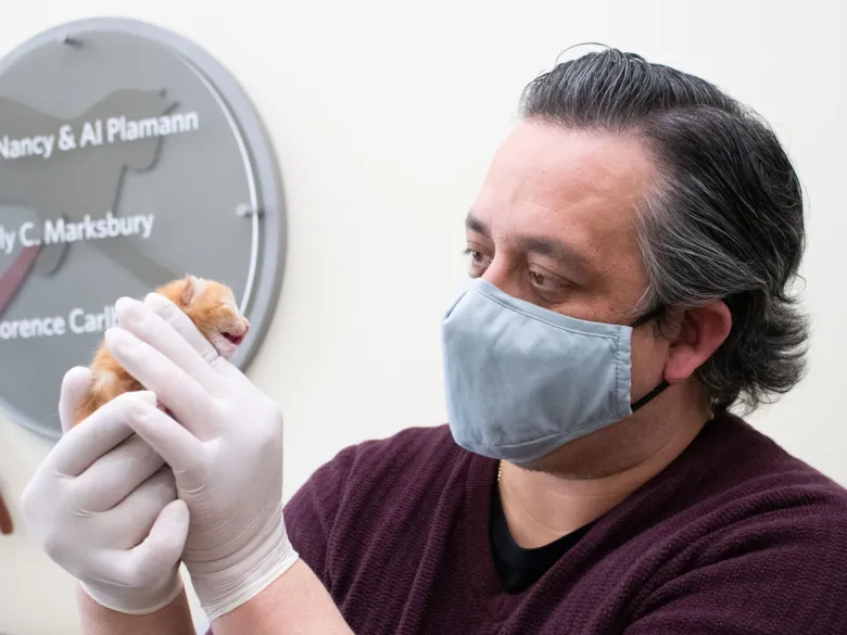 Column: You’re invited to a kitten shower, and here are gifts to consider