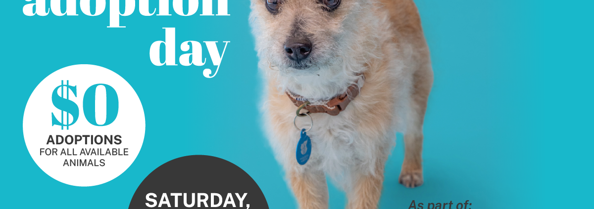 Pasadena Humane Offering Free Pet Adoptions for One-Day Statewide Event Pasadena Humane Offering Free Pet Adoptions for One-Day Statewide Event