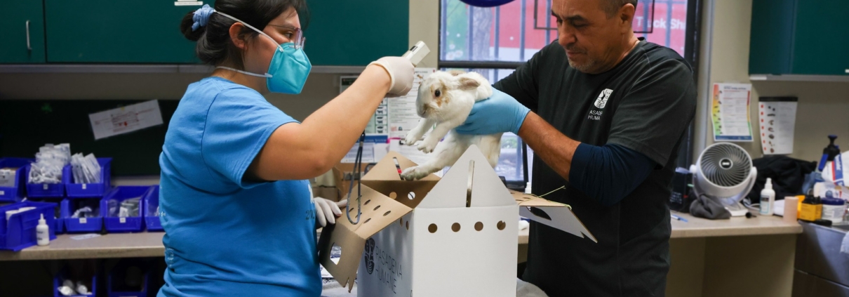 Microchips Make a Difference for Lost Pets Microchips Make a Difference for Lost Pets